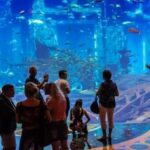 Get Best Aquaventure Tickets for Dubai – CTC Tourism