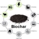 Biochar Market Future Outlook: Size, Share, Trends, and Growth Report