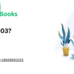 How to Resolve QuickBooks Error Code 80004005/80004003?
