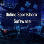 Best Online Sportsbook Software Provider in The USA