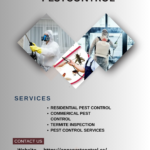 Apna Pest Control Richmond: Effective Extermination