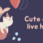 The Ultimate Guide to Cat Food for Kittens