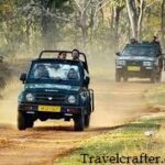 Safari booking tadoba