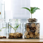 Top 5 Tips for Growing Your Wealth in 2024