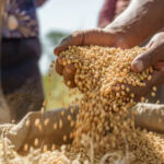 The Stark Reality: Over 2 Billion People, Including Millions of Indians, Cannot Afford a Healthy Diet