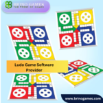 Leading Ludo Game Software Provider for Engaging Player Experiences