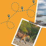 Tourist Places Near Kolkata Within 200 KM