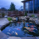 Revolutionize Your Pond Maintenance with Pond Filter Systems