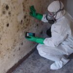 How Seasonal Changes Affect Mold Growth in Your Home